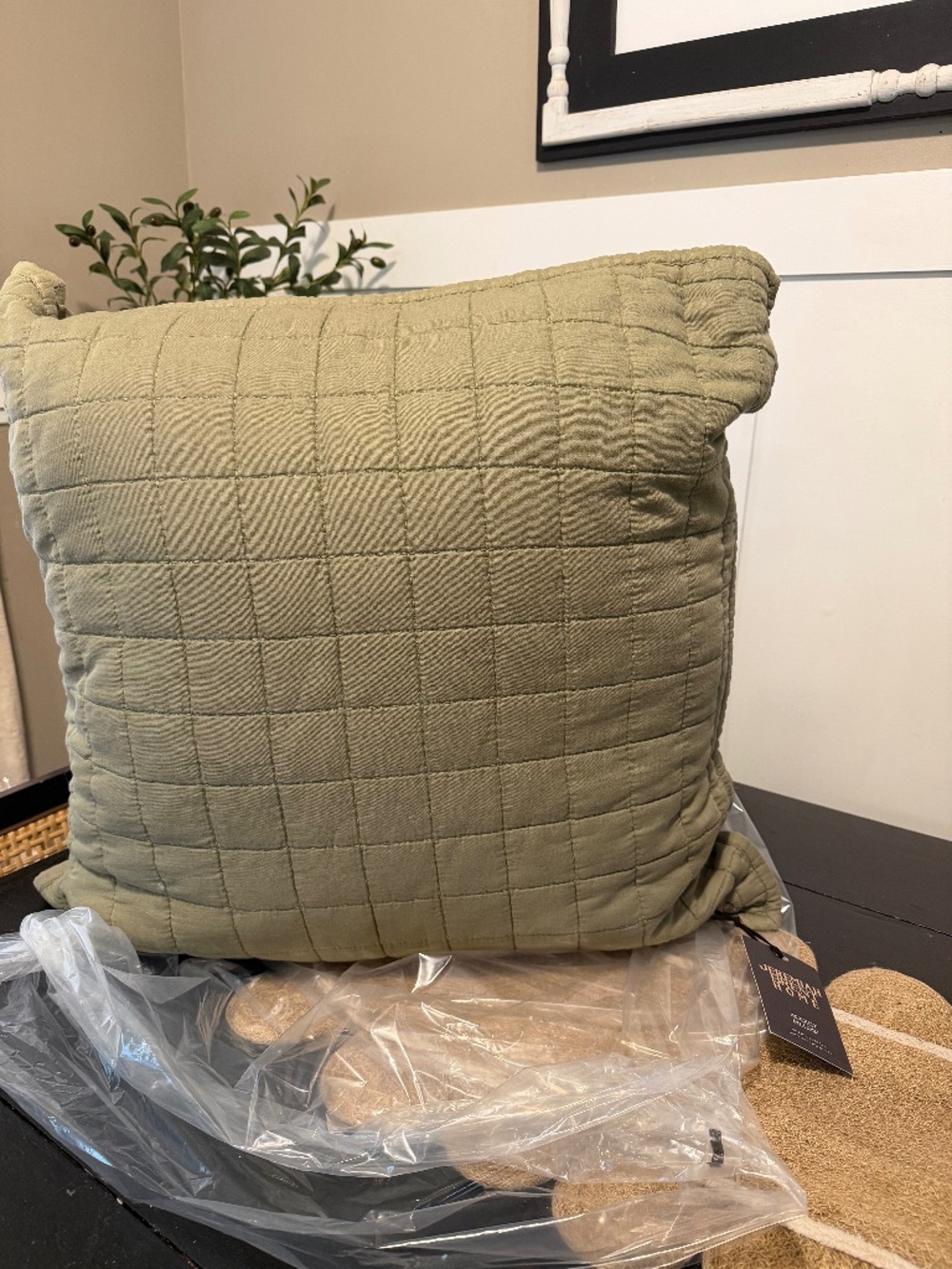 Two NWT pillows target